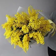 Весна наступила, или «Пришел Ярило – с вилами»…