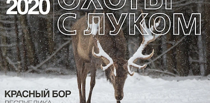 Международный фестиваль «Охота с луком» пройдет в охотхозяйстве «Красный Бор»