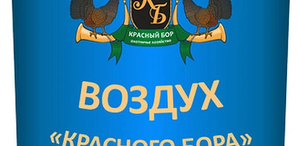 В подарок – воздух Красноборской пущи!