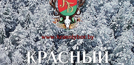 Календарь «Красного Бора» 2022