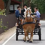 Конные прогулки