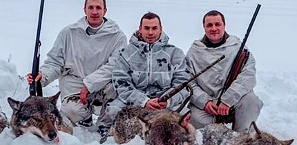 Волк и косуля в «Трофейной книге» Беларуси: итоги 2019 года