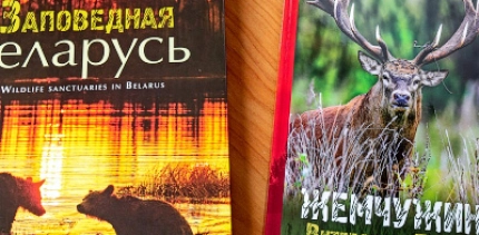 С днем рождения, жемчужина Витебского Поозерья!
