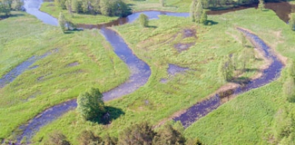 «Красный Бор»: взгляд с воды