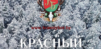 Календарь «Красного Бора» 2022
