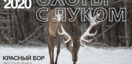 Международный фестиваль «Охота с луком» пройдет в охотхозяйстве «Красный Бор»